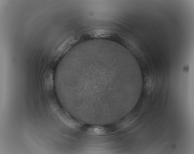 X0000111650506200907311319