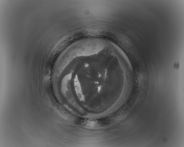X0000111650507200907311319