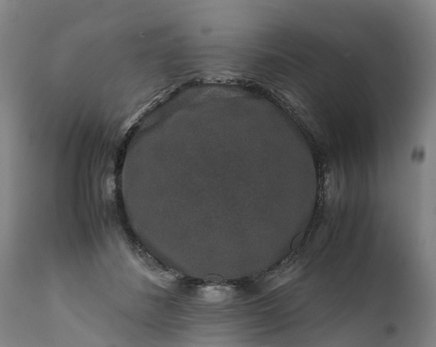 X0000111650508200907311319