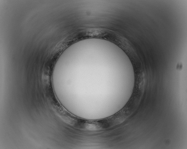 X0000111650510200907311319