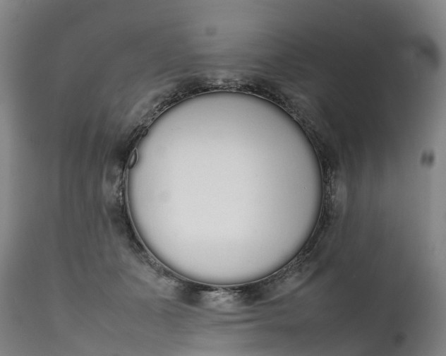 X0000111650511200907311319