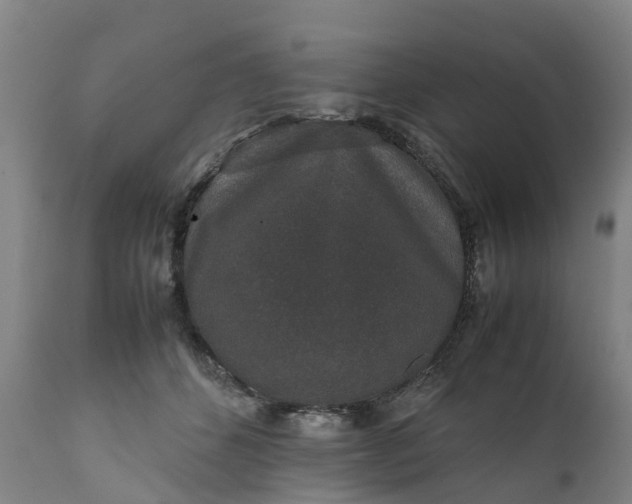 X0000111650512200907311319