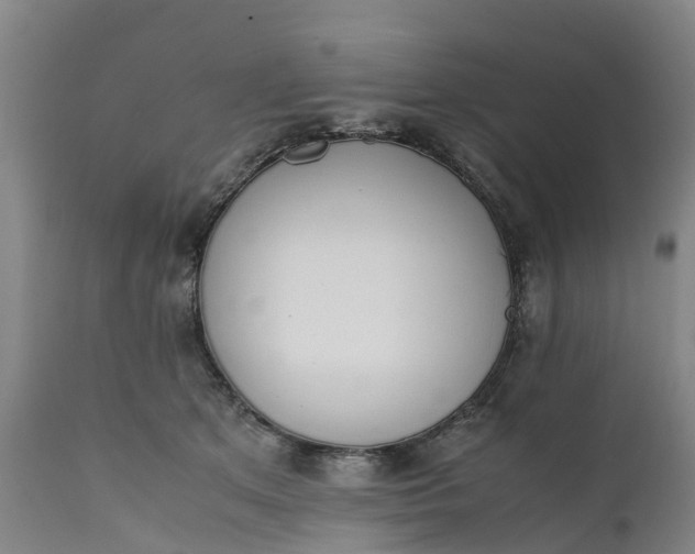 X0000111650513200907311319