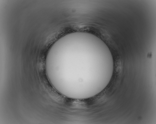 X0000111650515200907311319