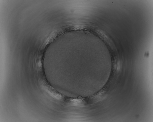 X0000111650516200907311319