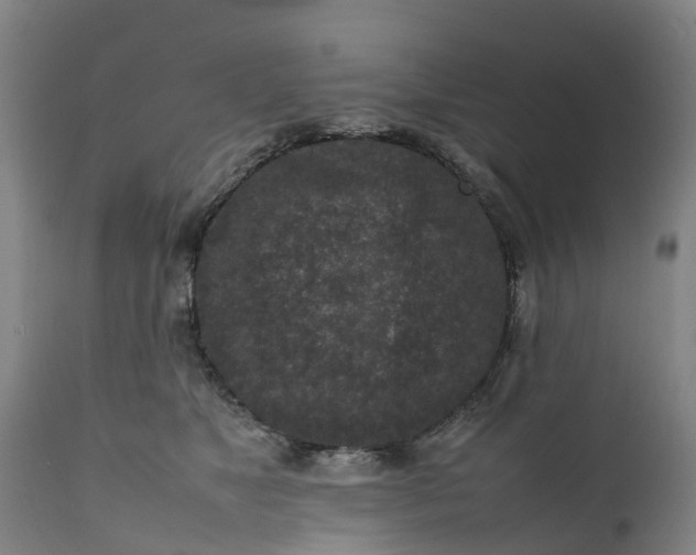X0000111650517200907311319
