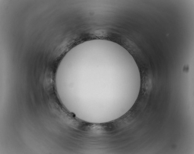 X0000111650518200907311319