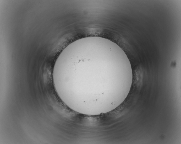 X0000111650522200907311319