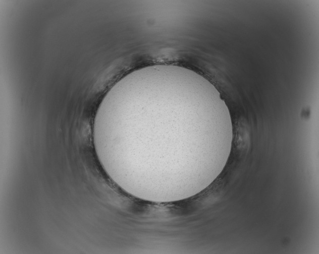 X0000111650523200907311319