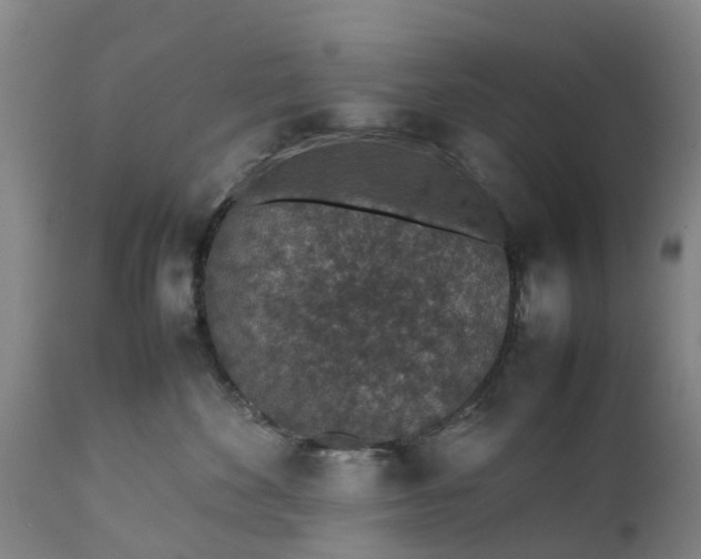 X0000111650524200907311319