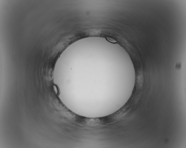 X0000111650525200907311319