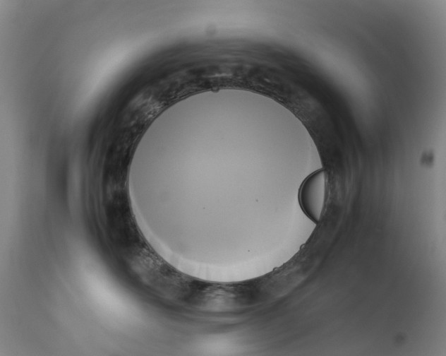 X0000111650526200907311319