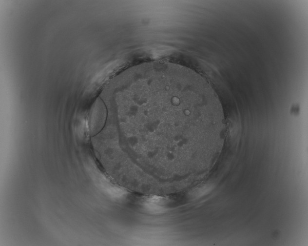 X0000111650527200907311319