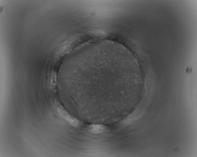 X0000111650528200907311319