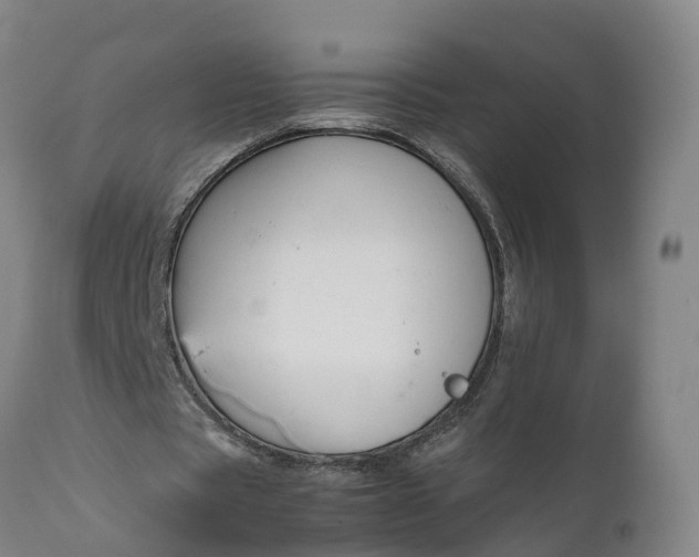 X0000111650529200907311318