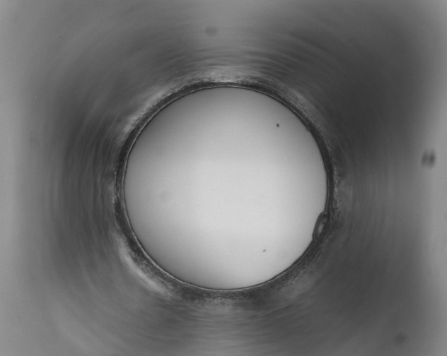 X0000111650530200907311318