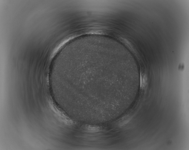 X0000111650531200907311318
