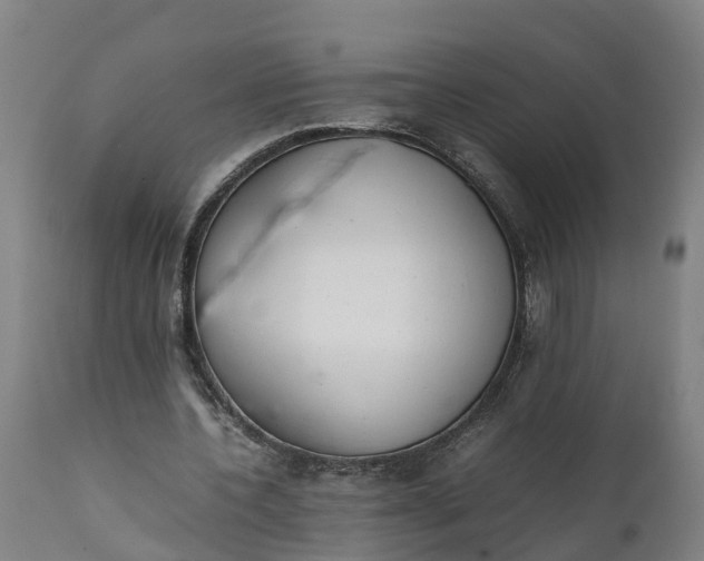 X0000111650532200907311318