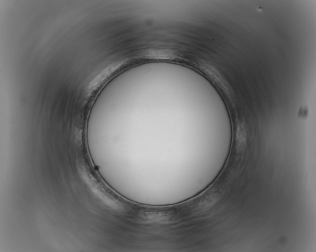 X0000111650533200907311318