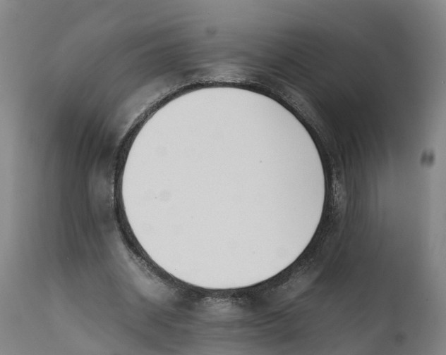X0000111650534200907311318