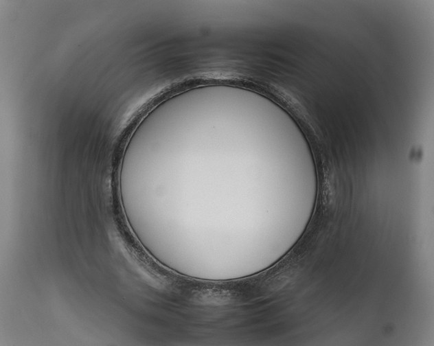 X0000111650535200907311318