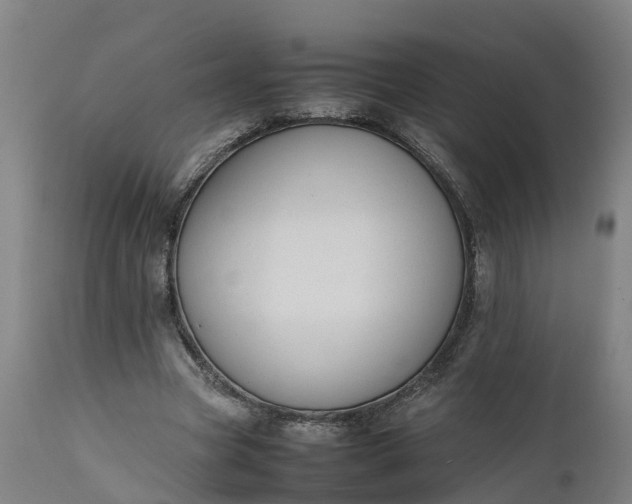 X0000111650537200907311319
