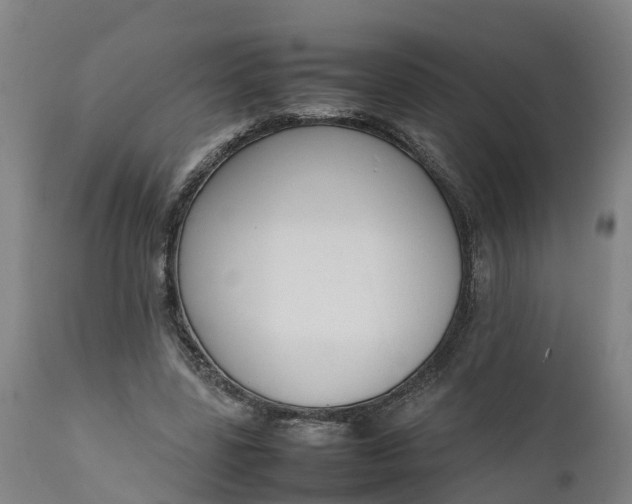 X0000111650539200907311319