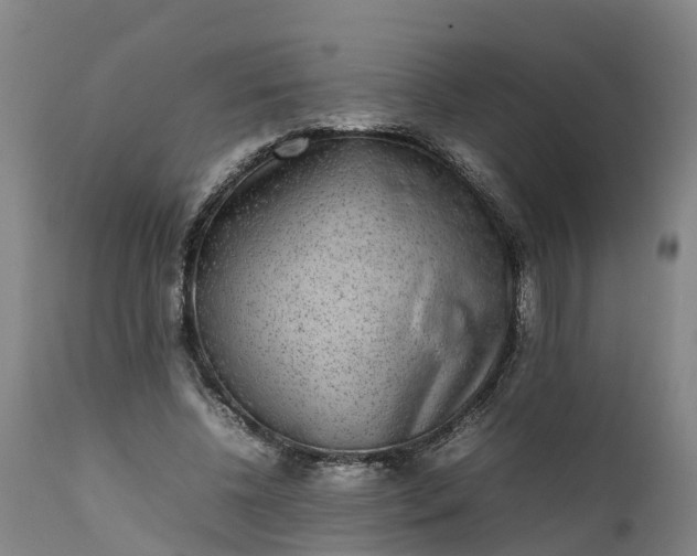 X0000111650540200907311319