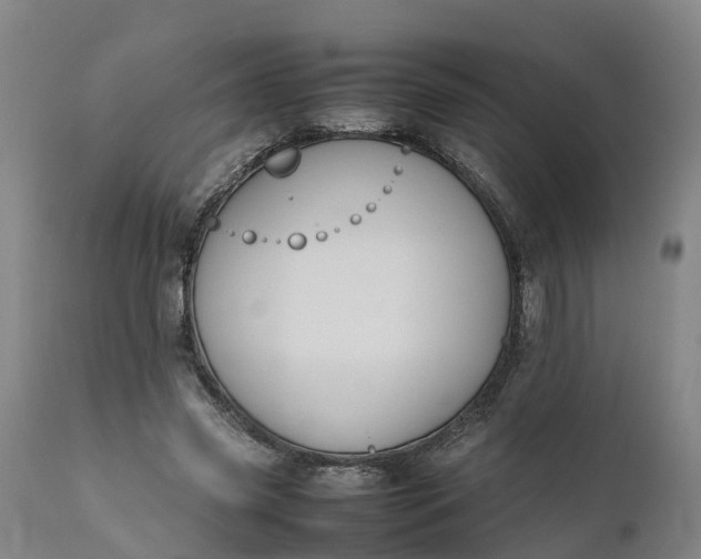X0000111650541200907311319