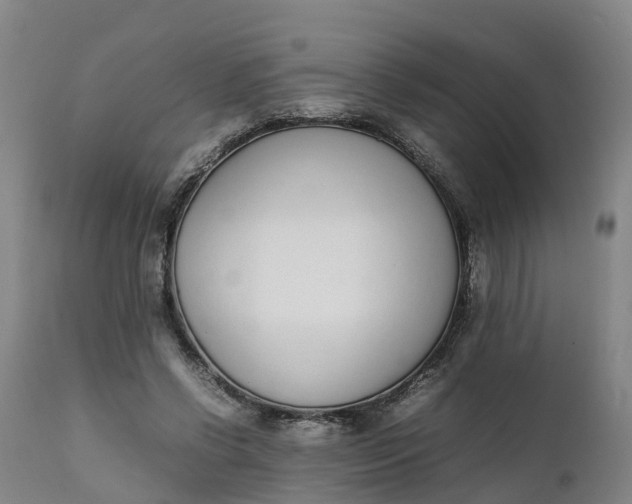X0000111650542200907311319