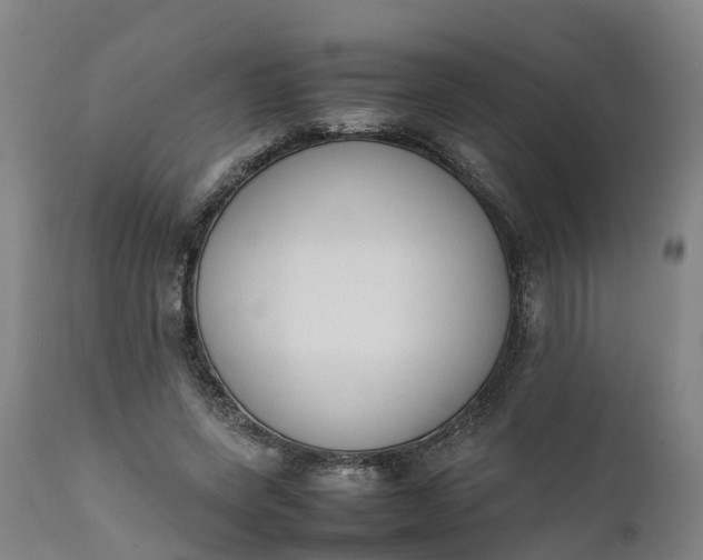 X0000111650543200907311319