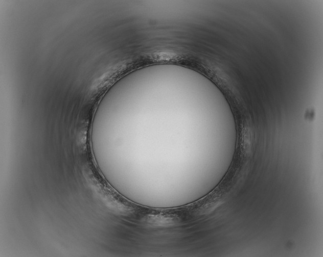 X0000111650545200907311319