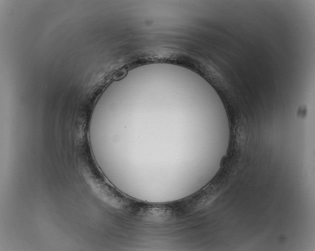 X0000111650546200907311319