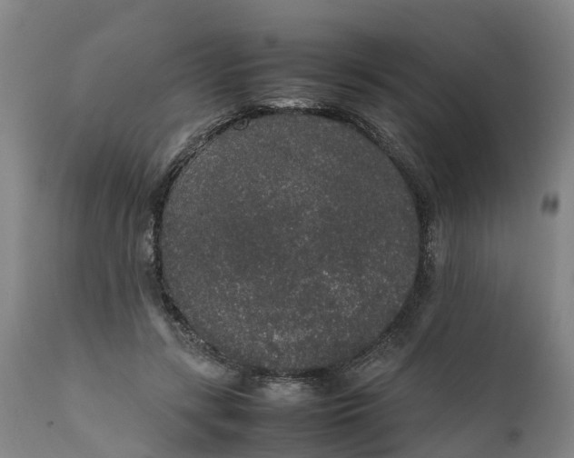 X0000111650547200907311319