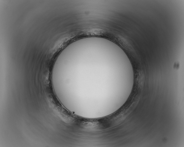 X0000111650548200907311319