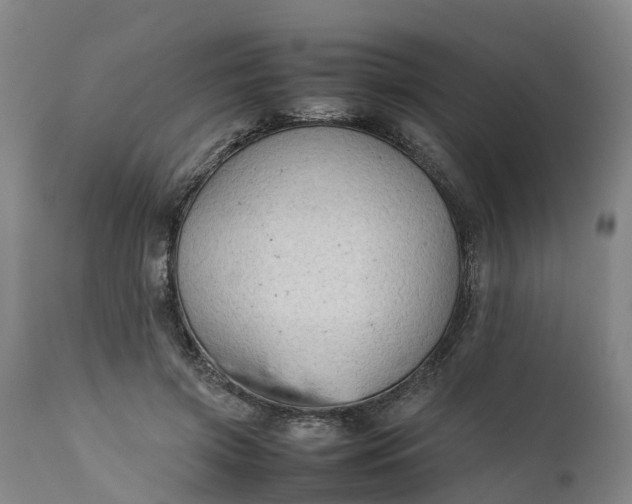X0000111650549200907311319