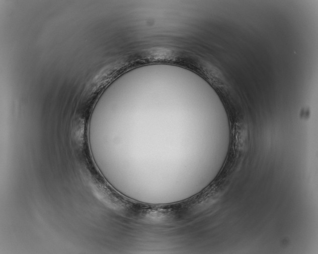 X0000111650550200907311319