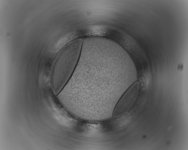 X0000111650552200907311319
