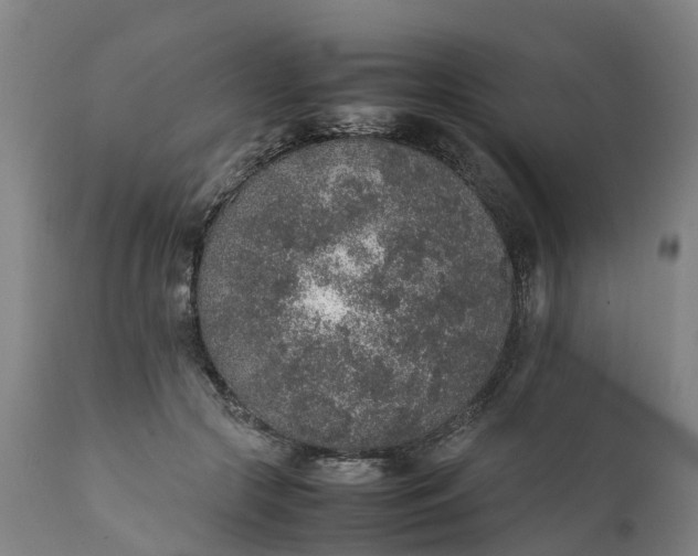 X0000111650553200907311319
