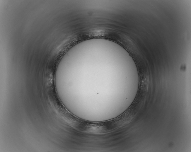 X0000111650555200907311319