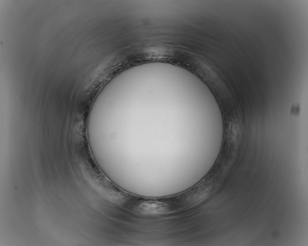 X0000111650557200907311319