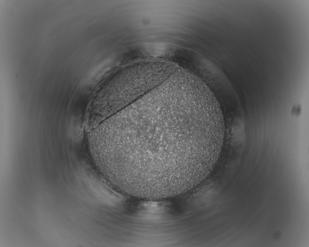 X0000111650558200907311319
