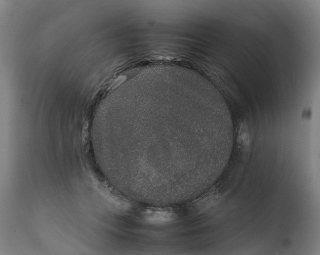 X0000111650559200907311319