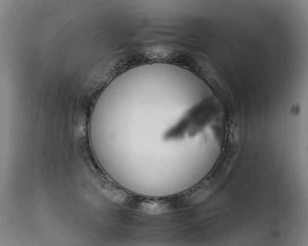 X0000111650561200907311319