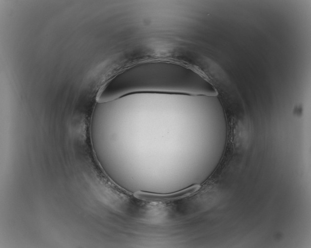 X0000111650562200907311319