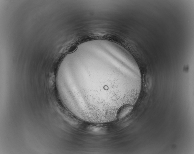 X0000111650563200907311319