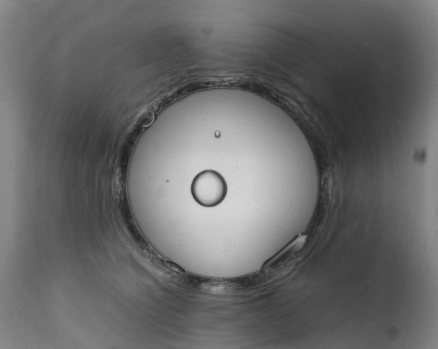X0000111650564200907311319