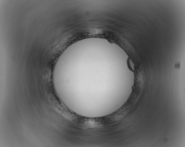 X0000111650565200907311319