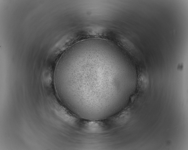 X0000111650566200907311319