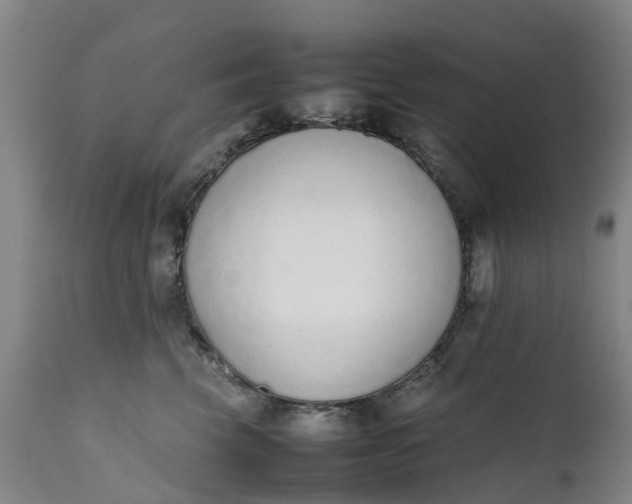 X0000111650569200907311319